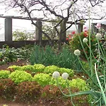 Quinta Do Bom Sucesso * Funchal (Madeira)