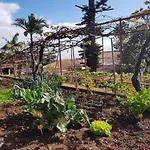 Quinta Do Bom Sucesso Apartmán *