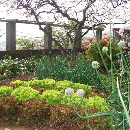 Quinta Do Bom Sucesso * Funchal