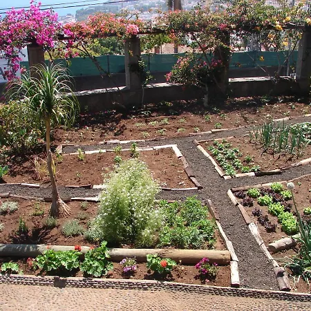 Quinta Do Bom Sucesso * Funchal