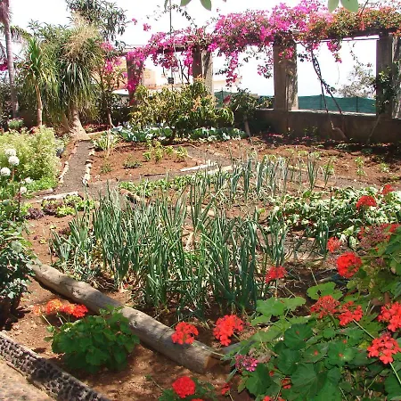Apartmán Quinta Do Bom Sucesso Funchal (Madeira)