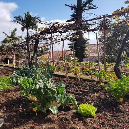 Quinta Do Bom Sucesso Apartamento *