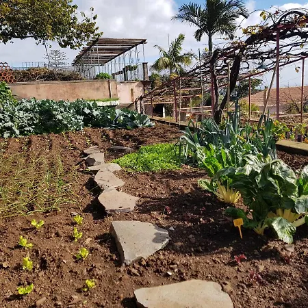 Quinta Do Bom Sucesso Apartamento *