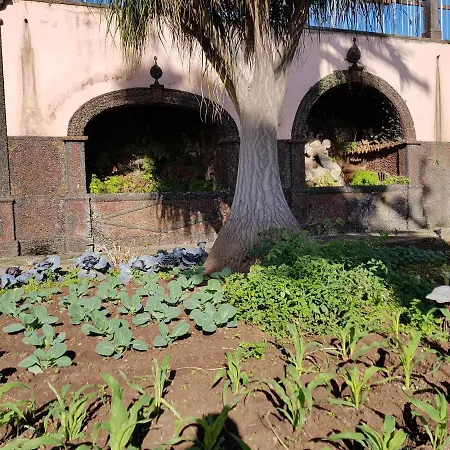 Apartman Quinta Do Bom Sucesso *