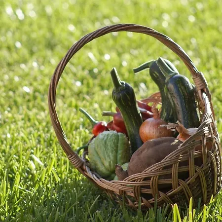 Quinta Do Bom Sucesso