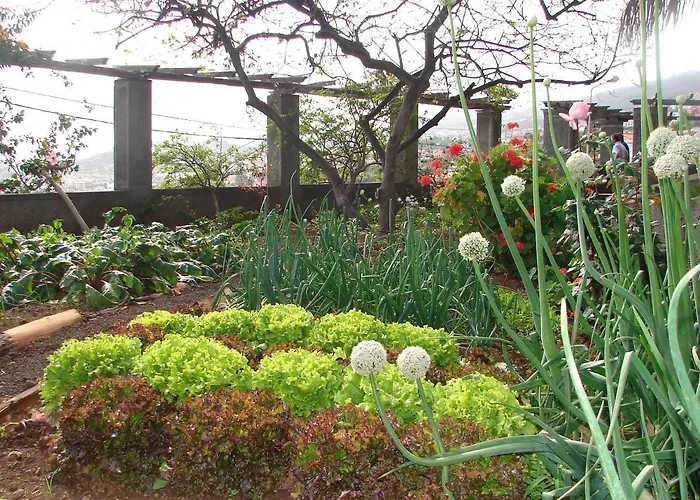 Quinta Do Bom Sucesso * フンシャル