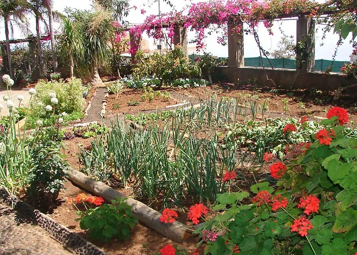 Διαμέρισμα Quinta Do Bom Sucesso Φουνκάλ