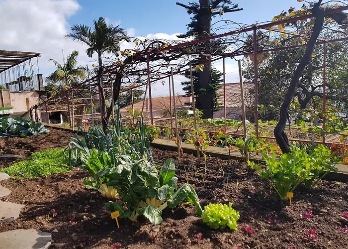 Quinta Do Bom Sucesso アパート *