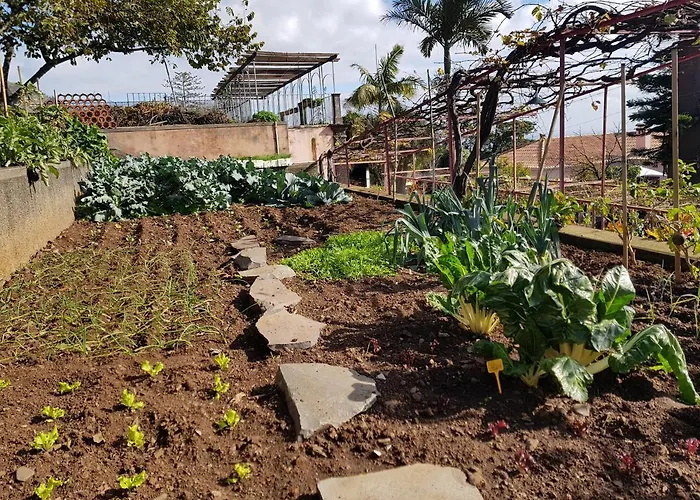 Quinta Do Bom Sucesso Διαμέρισμα *