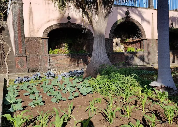 Διαμέρισμα Quinta Do Bom Sucesso *