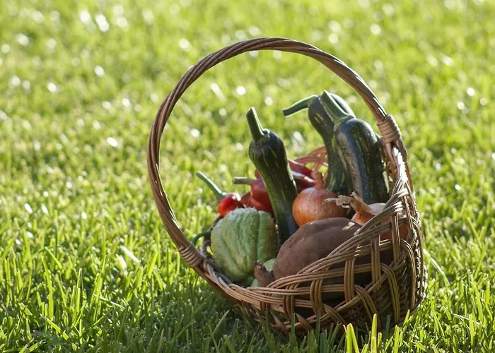 Quinta Do Bom Sucesso